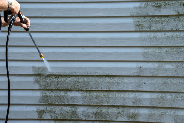 Best Shed Removal  in South Corning, NY